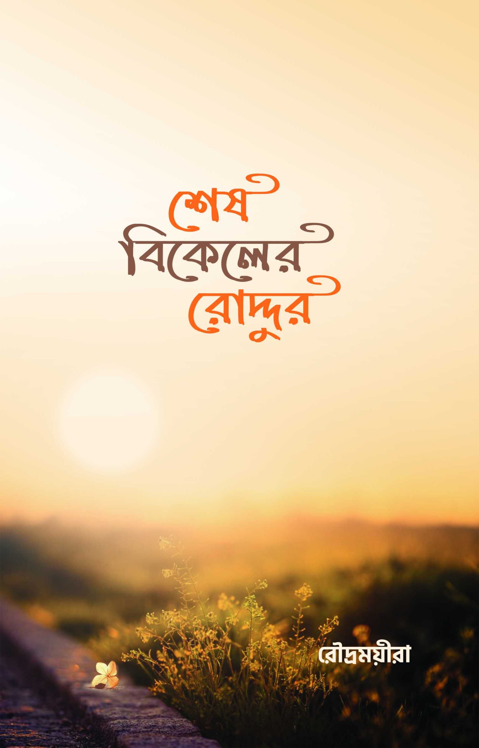 শেষ বিকেলের রোদ্দুর